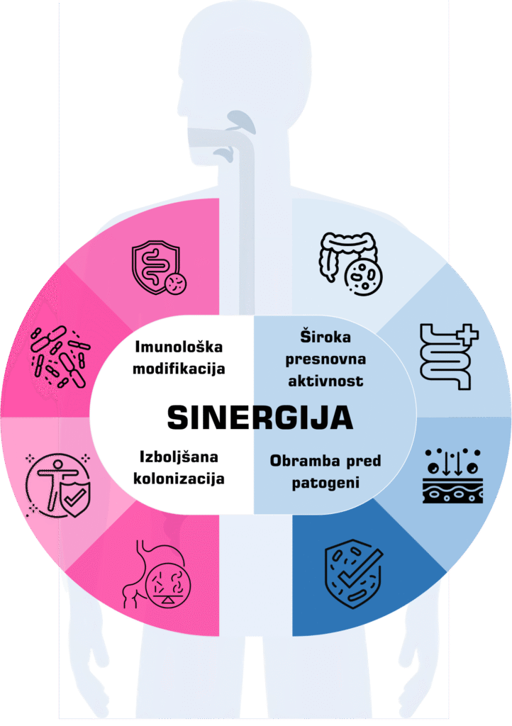 SINERGIJA