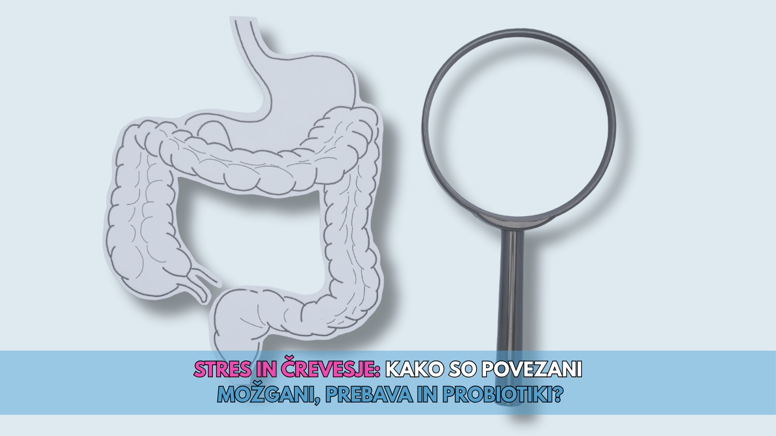 Stres in črevesje kako so povezani možgani, prebava in probiotiki